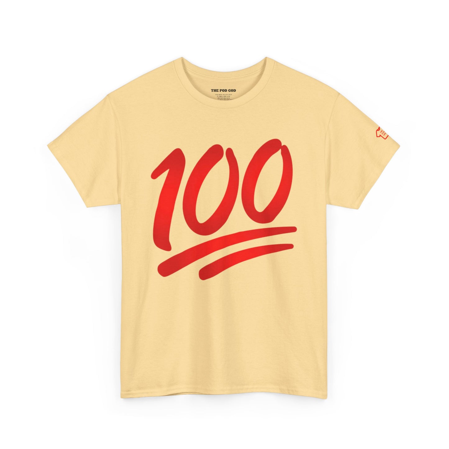 100 T-Shirt